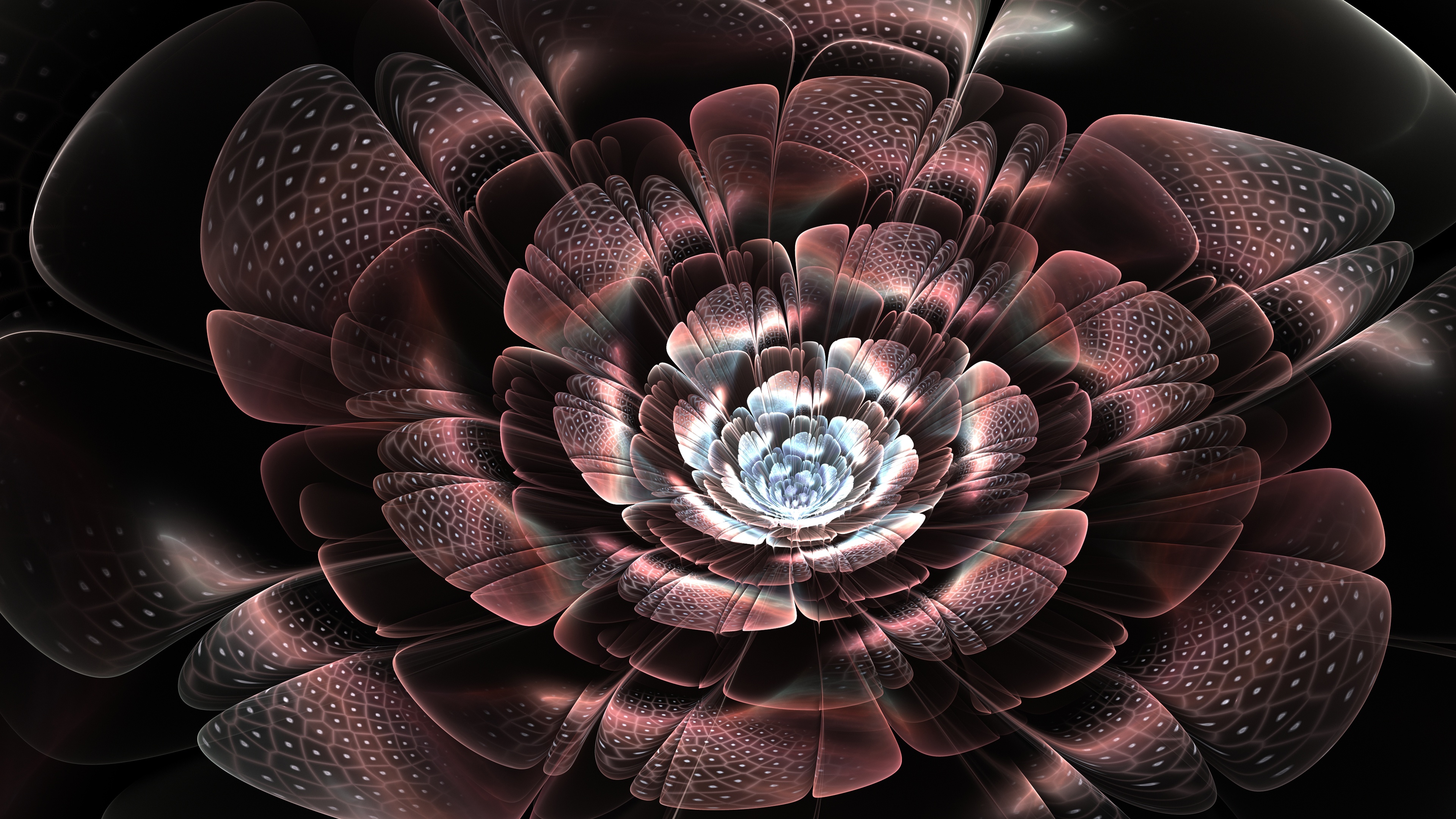 Cool abstract flower | PixelsTalk.Net