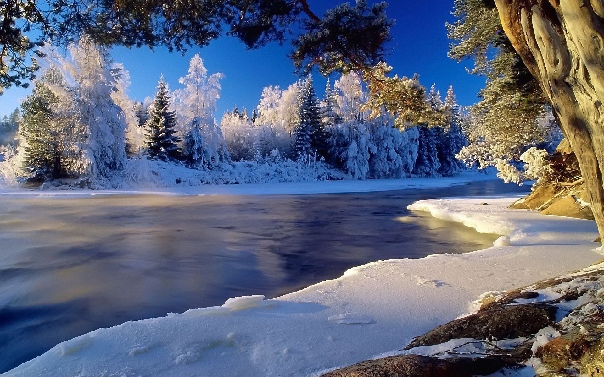 Winter Landscape Wallpaper Full Hd Pixelstalknet