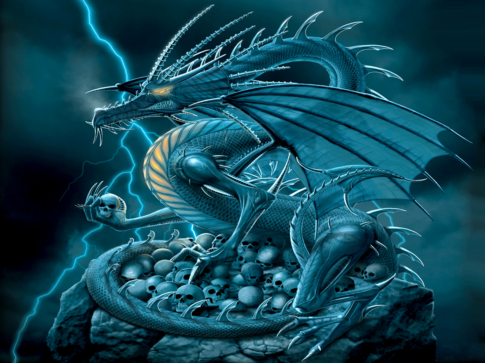 Cool Dragon HD Wallpaper Backgrounds Free Download ...