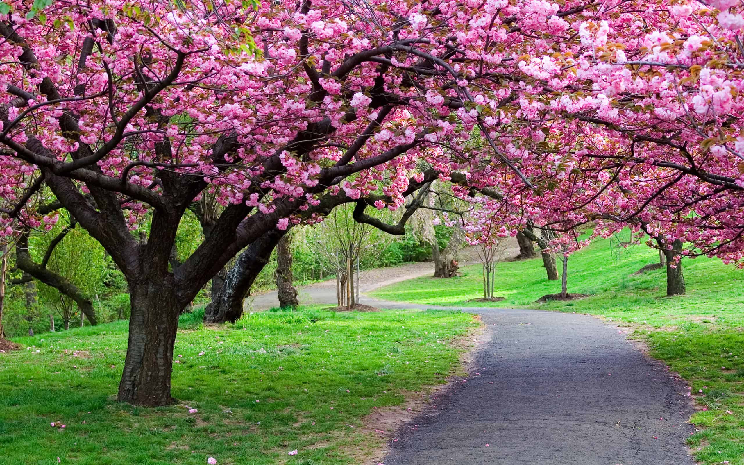 Beautiful Nature Wallpaper PixelsTalk Net