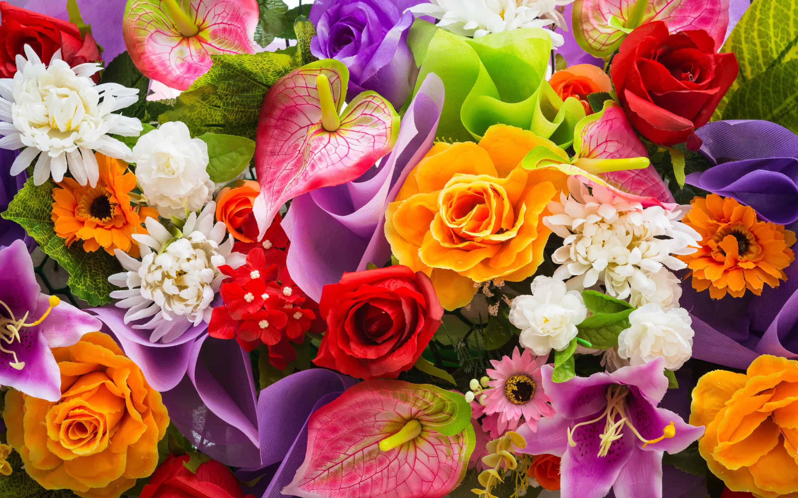 Colorful Flowers Wallpapers HD PixelsTalk Net