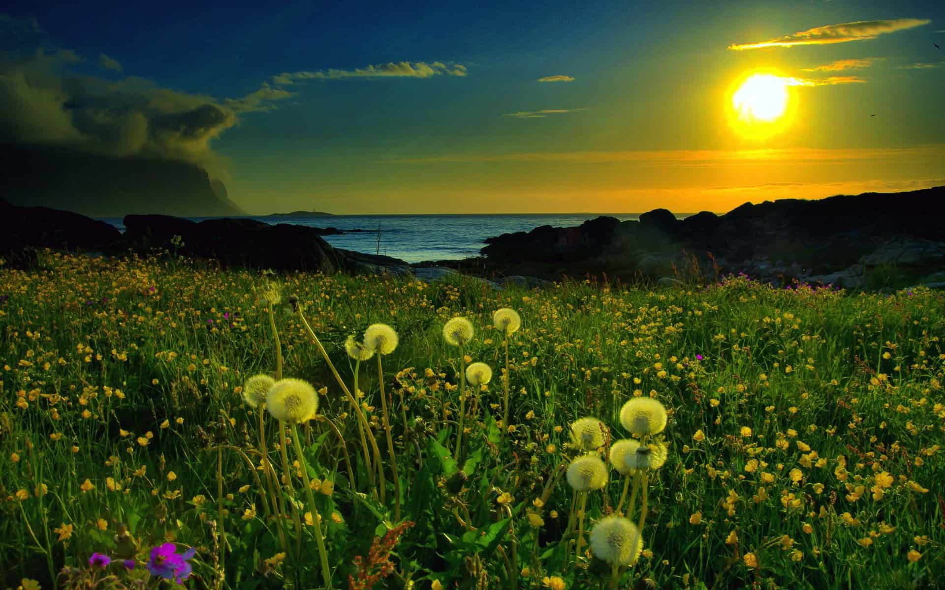 Nature Wallpaper HD Desktop PixelsTalk Net