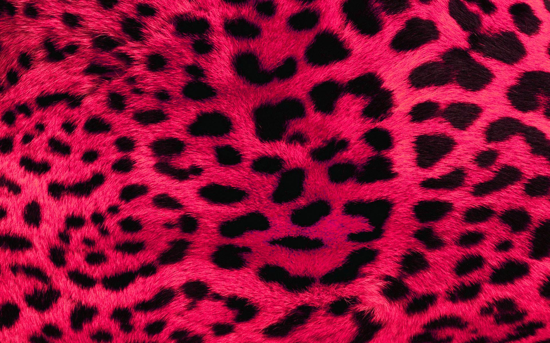 Pink Wallpapers HD | PixelsTalk.Net