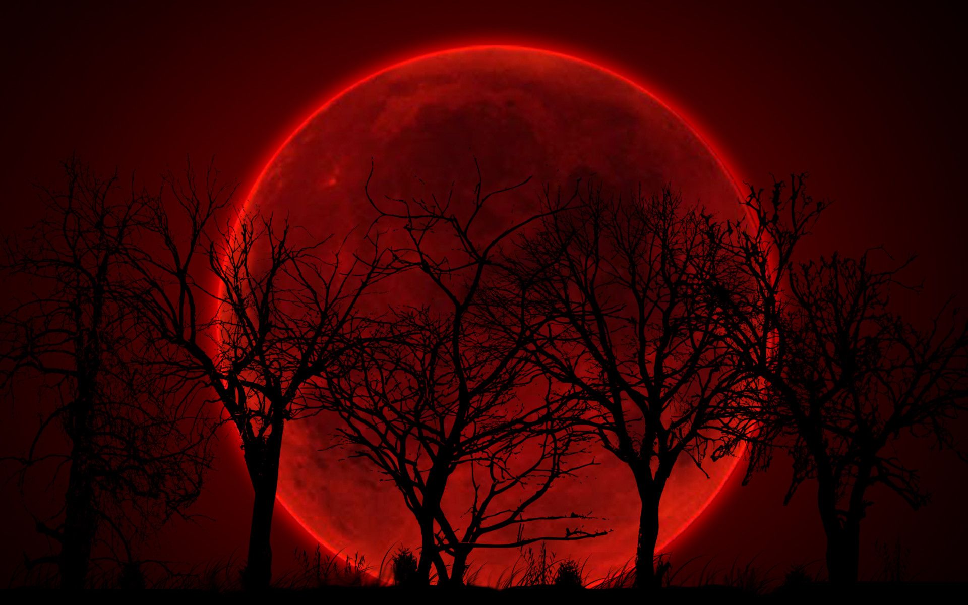 Red Moon Wallpaper HD | PixelsTalk.Net