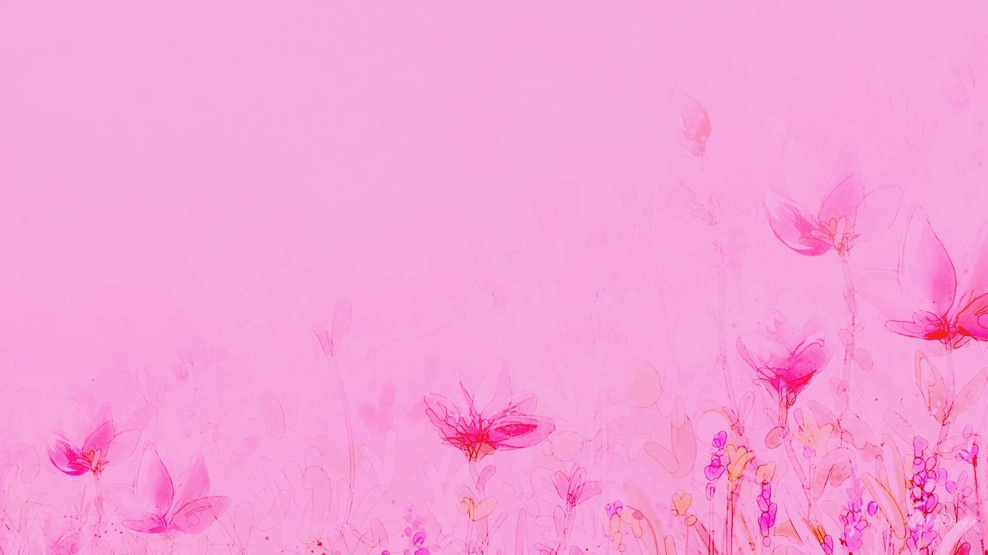 HD Light Pink Backgrounds PixelsTalk Net