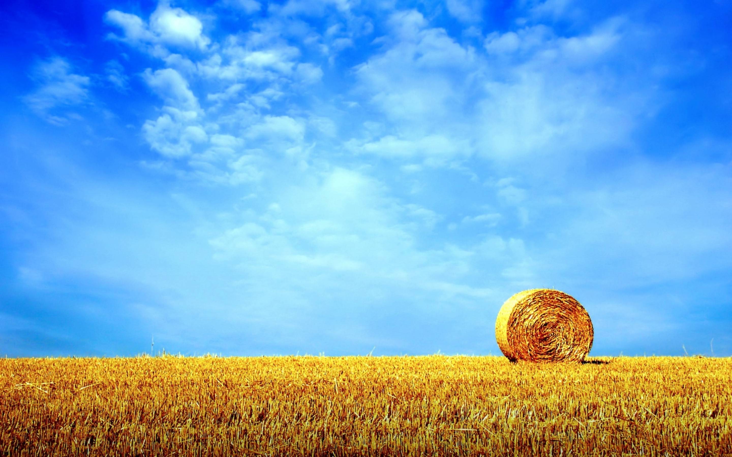HD Summer Desktop Backgrounds | PixelsTalk.Net