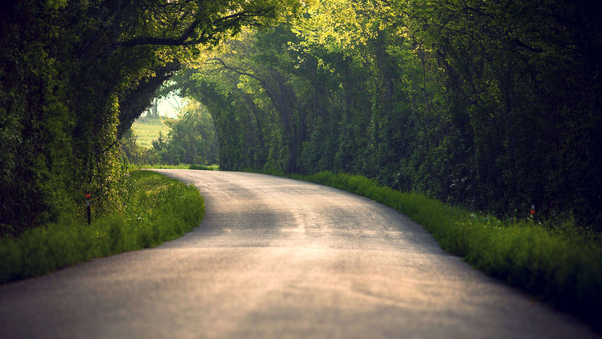 25 Best Desktop Wallpapers 1920x1080 You Can Get It Without A Penny