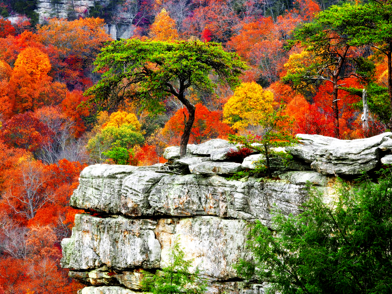 Fall Scenery Desktop Backgrounds HD | PixelsTalk.Net
