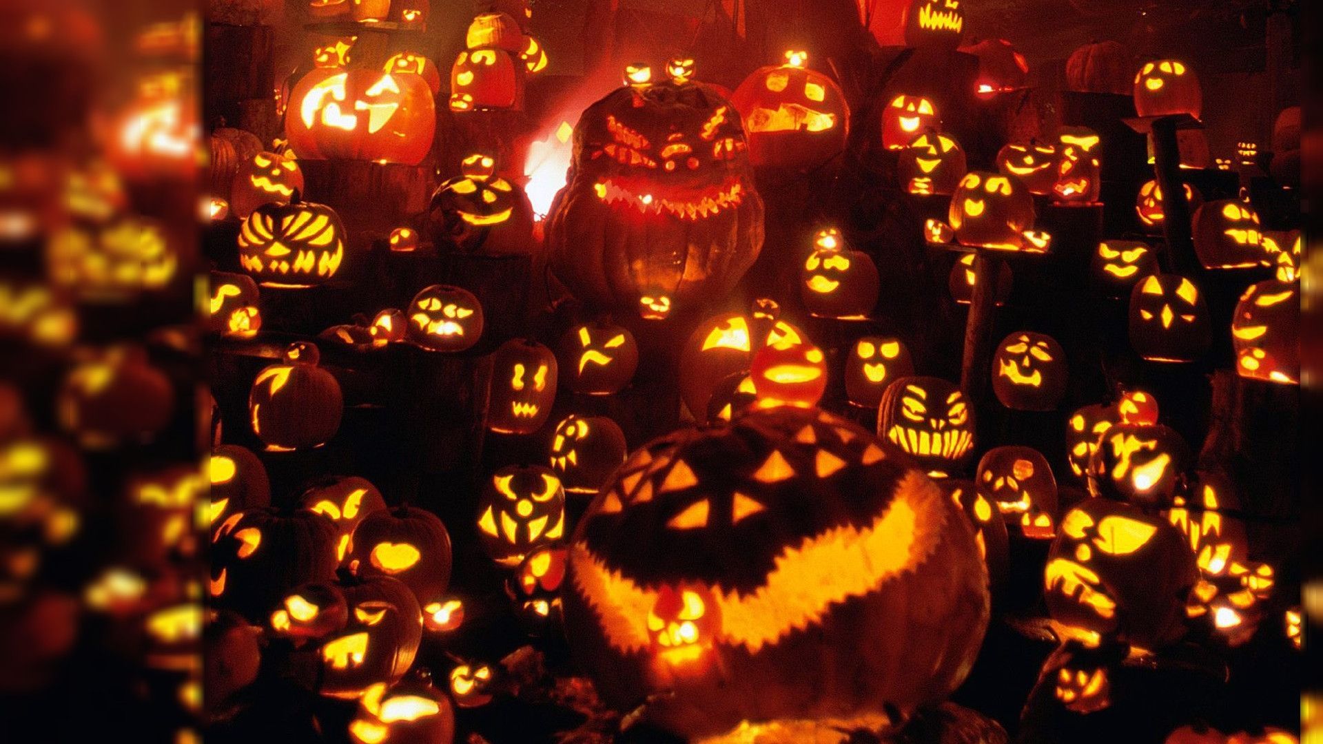 Halloween Pumpkin Backgrounds Pixelstalknet