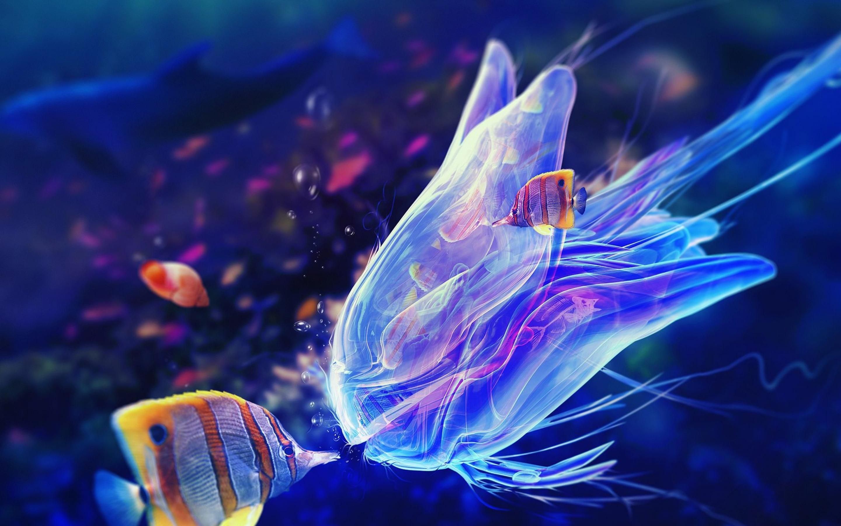Jellyfish Wallpaper Download Free | PixelsTalk.Net