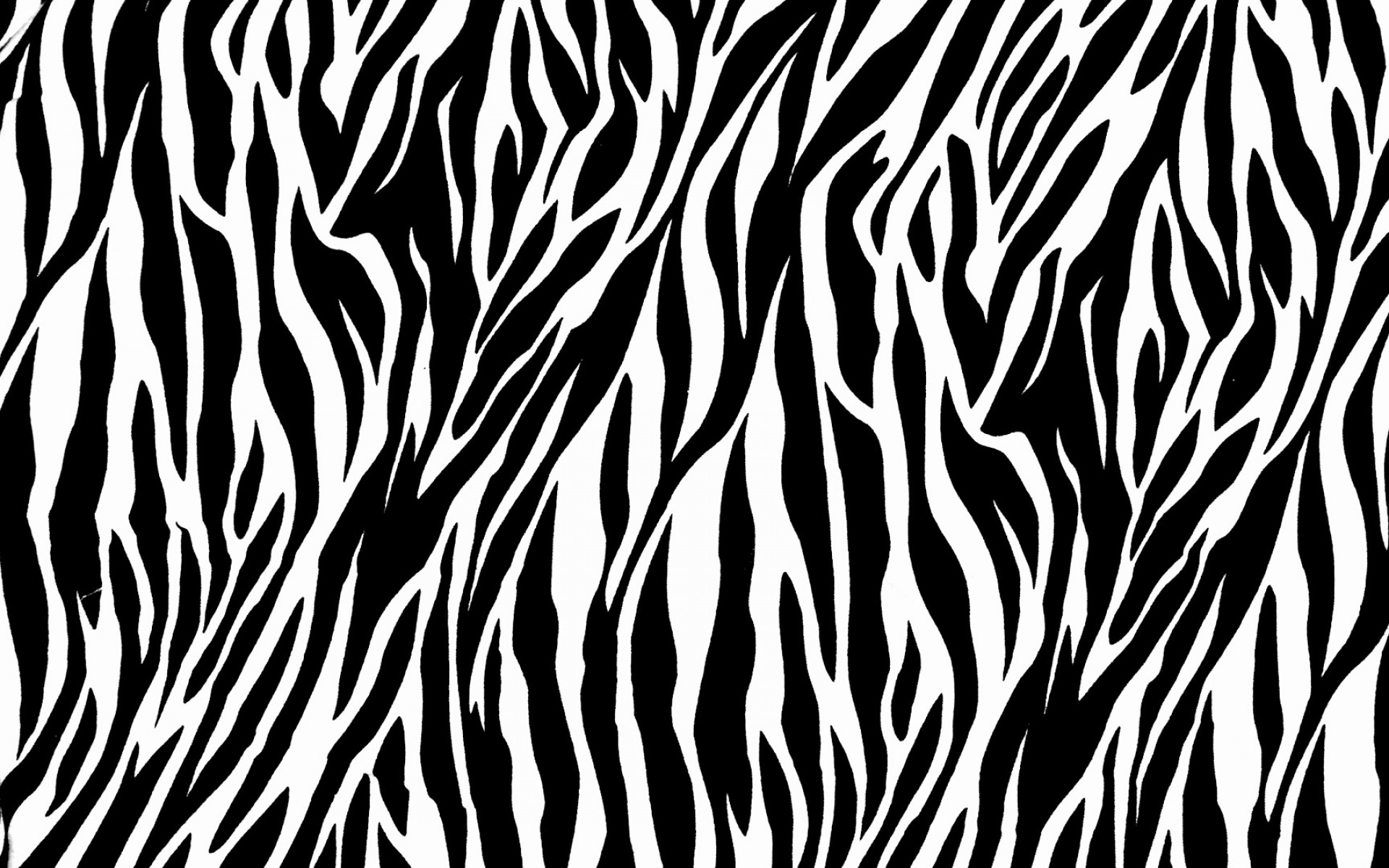 Zebra Print Wallpaper HD