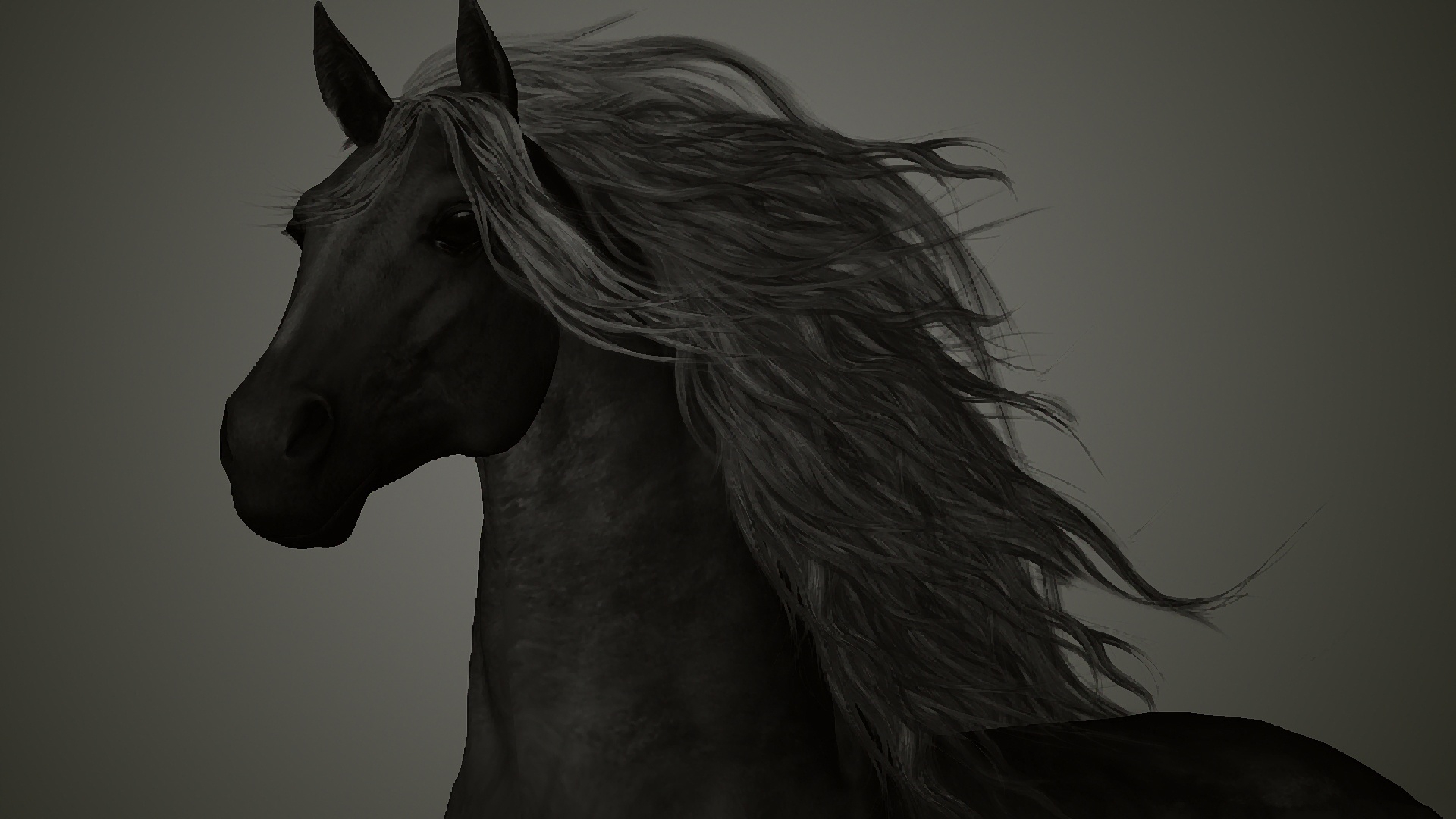 Black Horse HD Backgrounds | PixelsTalk.Net