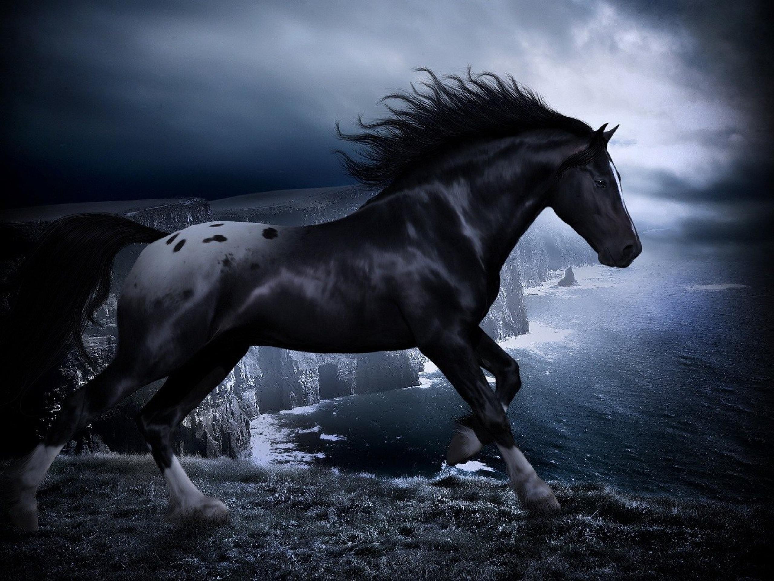 HD Black Horse Wallpapers | PixelsTalk.Net