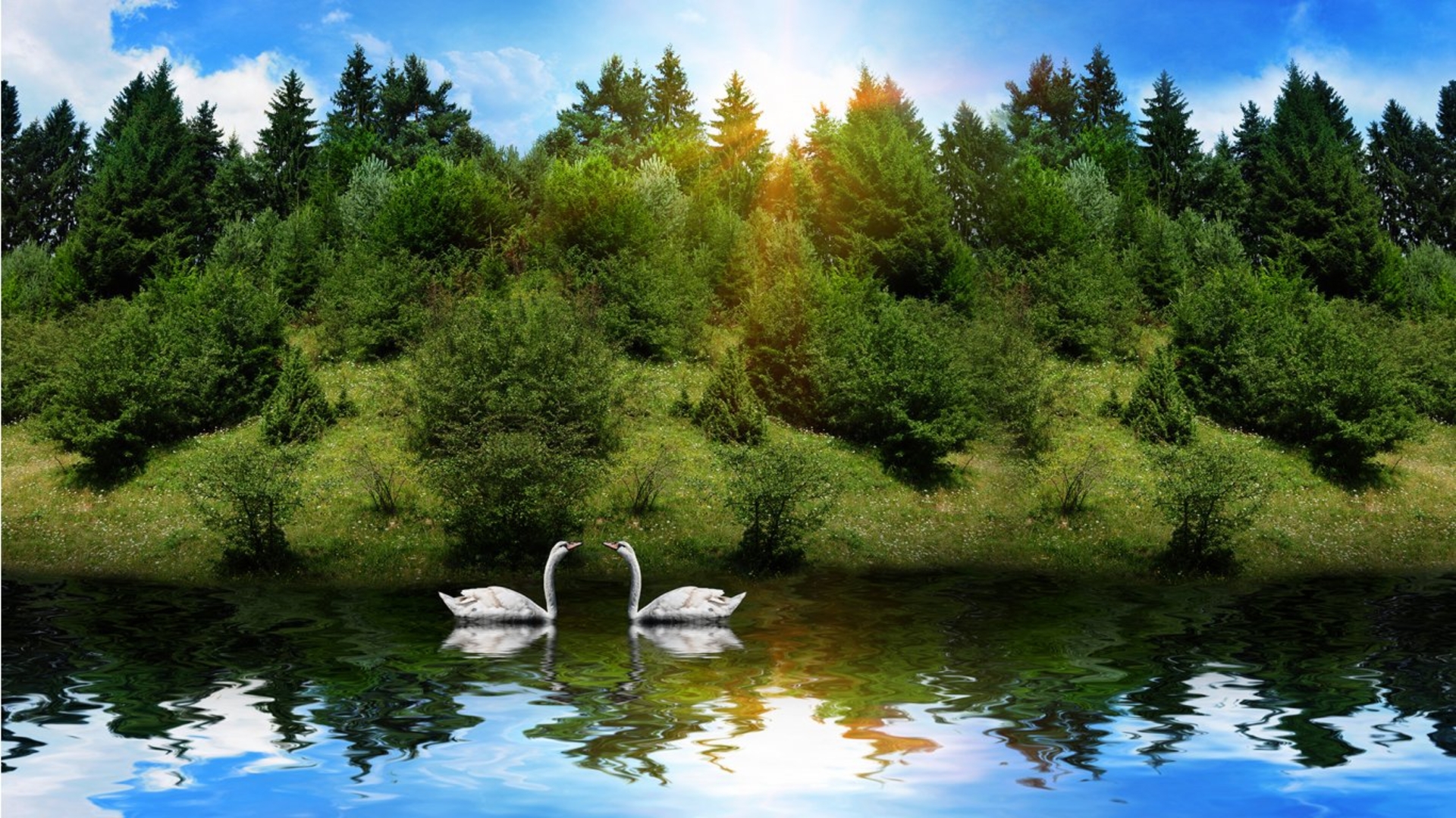 Cool Nature Background Images | PixelsTalk.Net