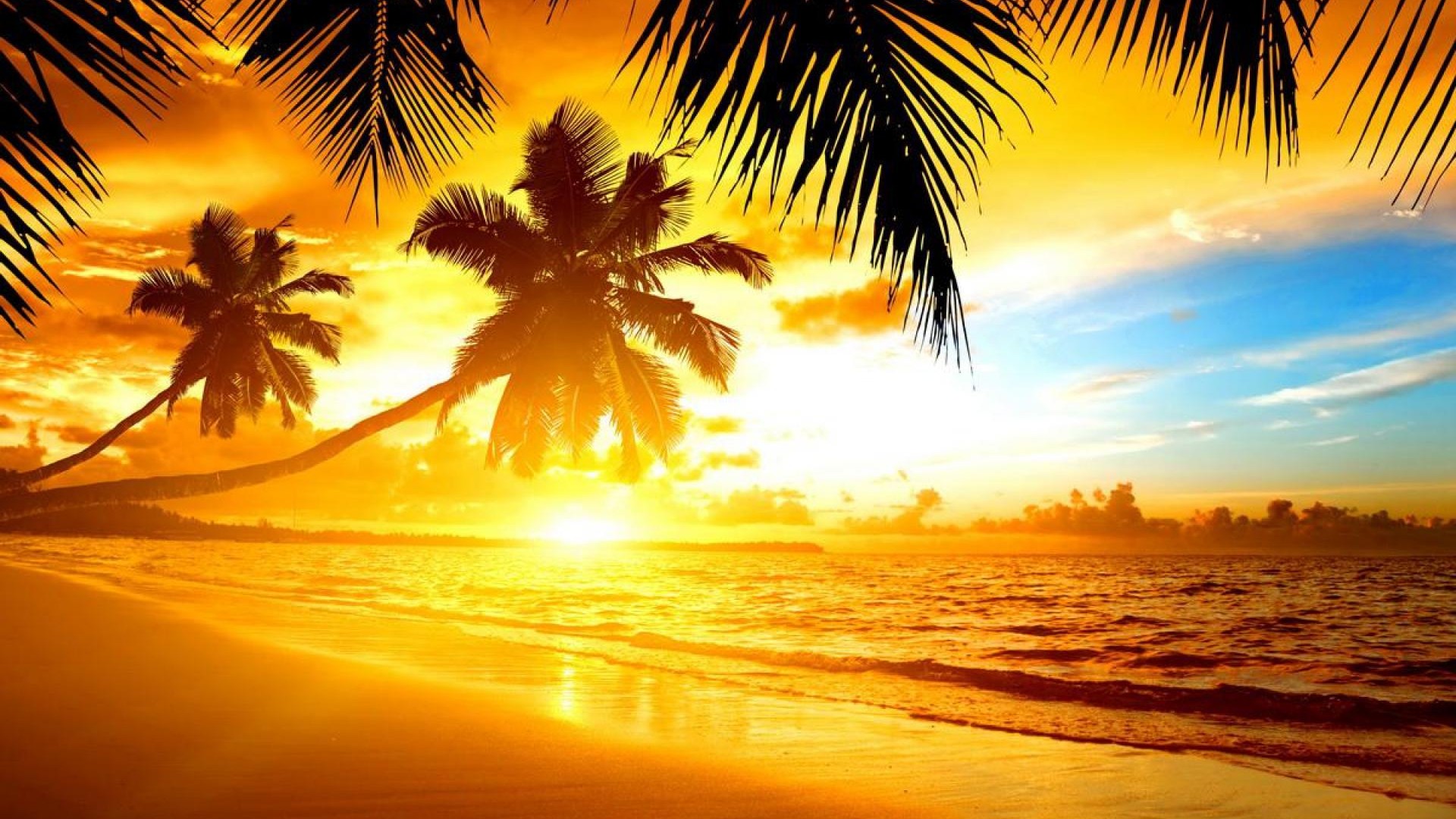 Sunset Beaches Wallpapers Download Free | PixelsTalk.Net