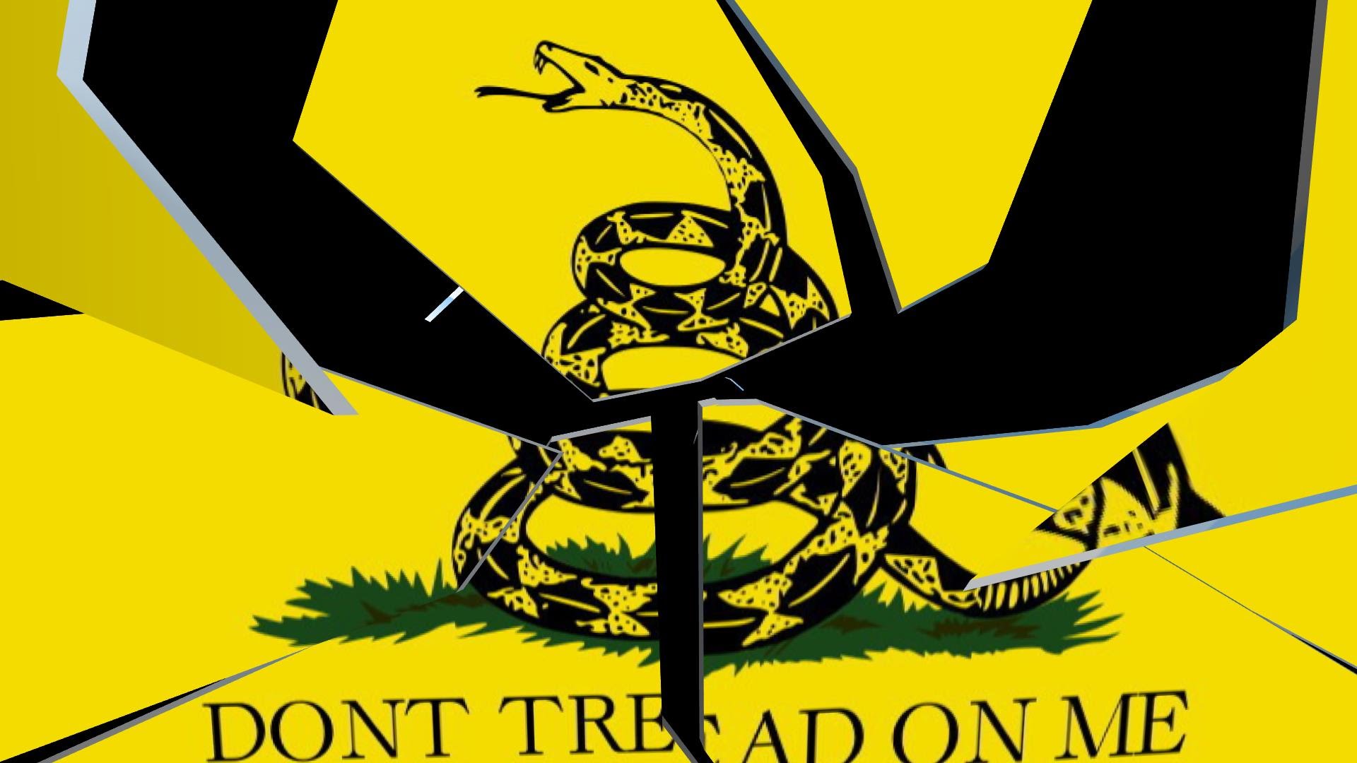 Dont Tread On Me Wallpapers | PixelsTalk.Net