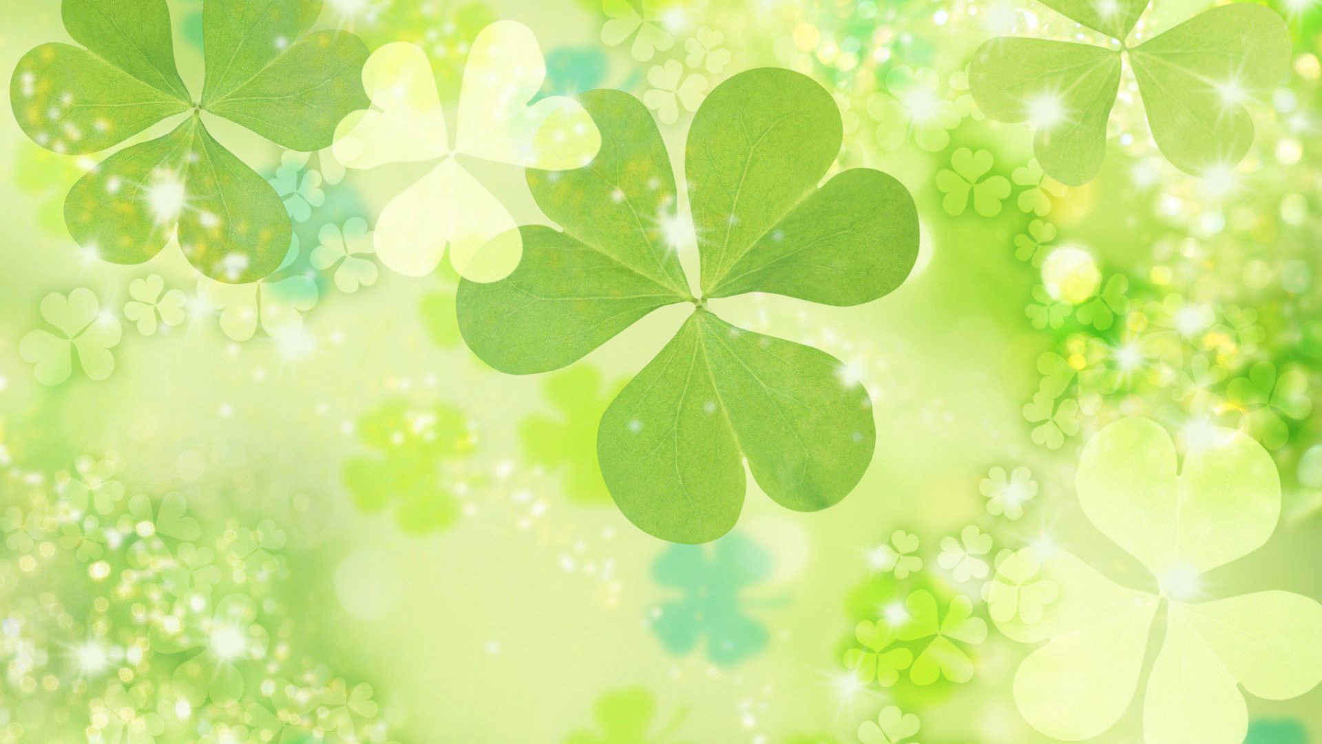 Free Download Four Leaf Clover Wallpapers HD | PixelsTalk.Net