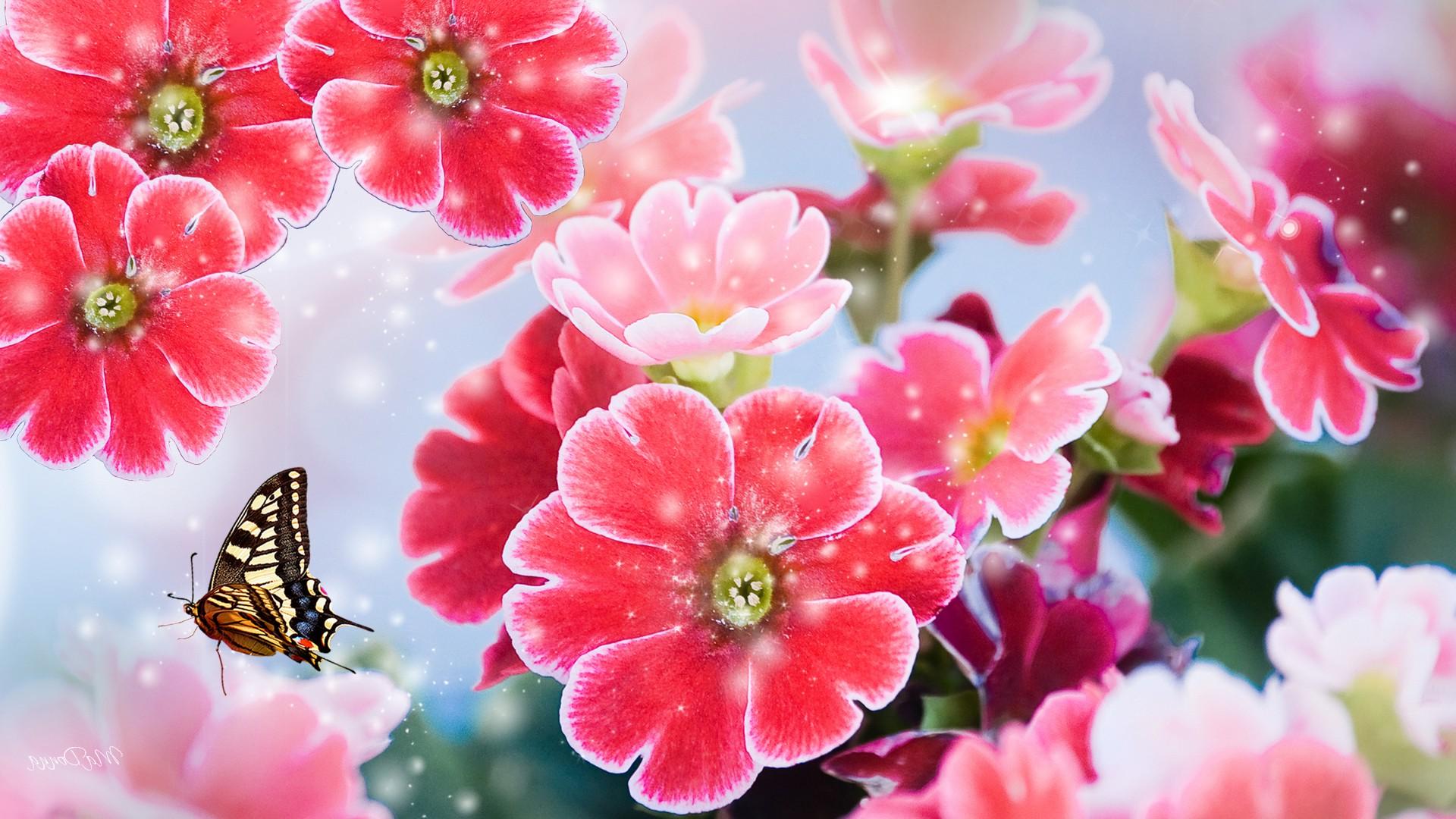 Bright Floral Background Free Download | PixelsTalk.Net