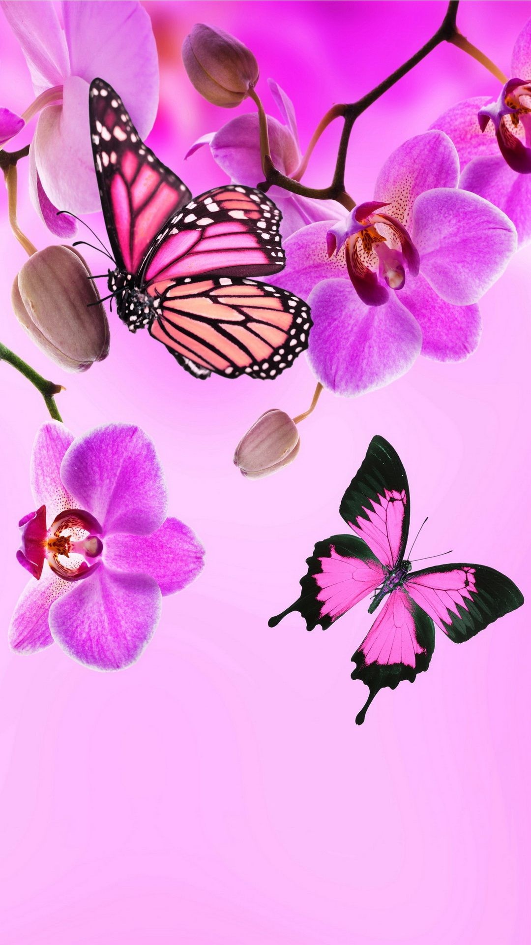 Floral iPhone Backgrounds | PixelsTalk.Net