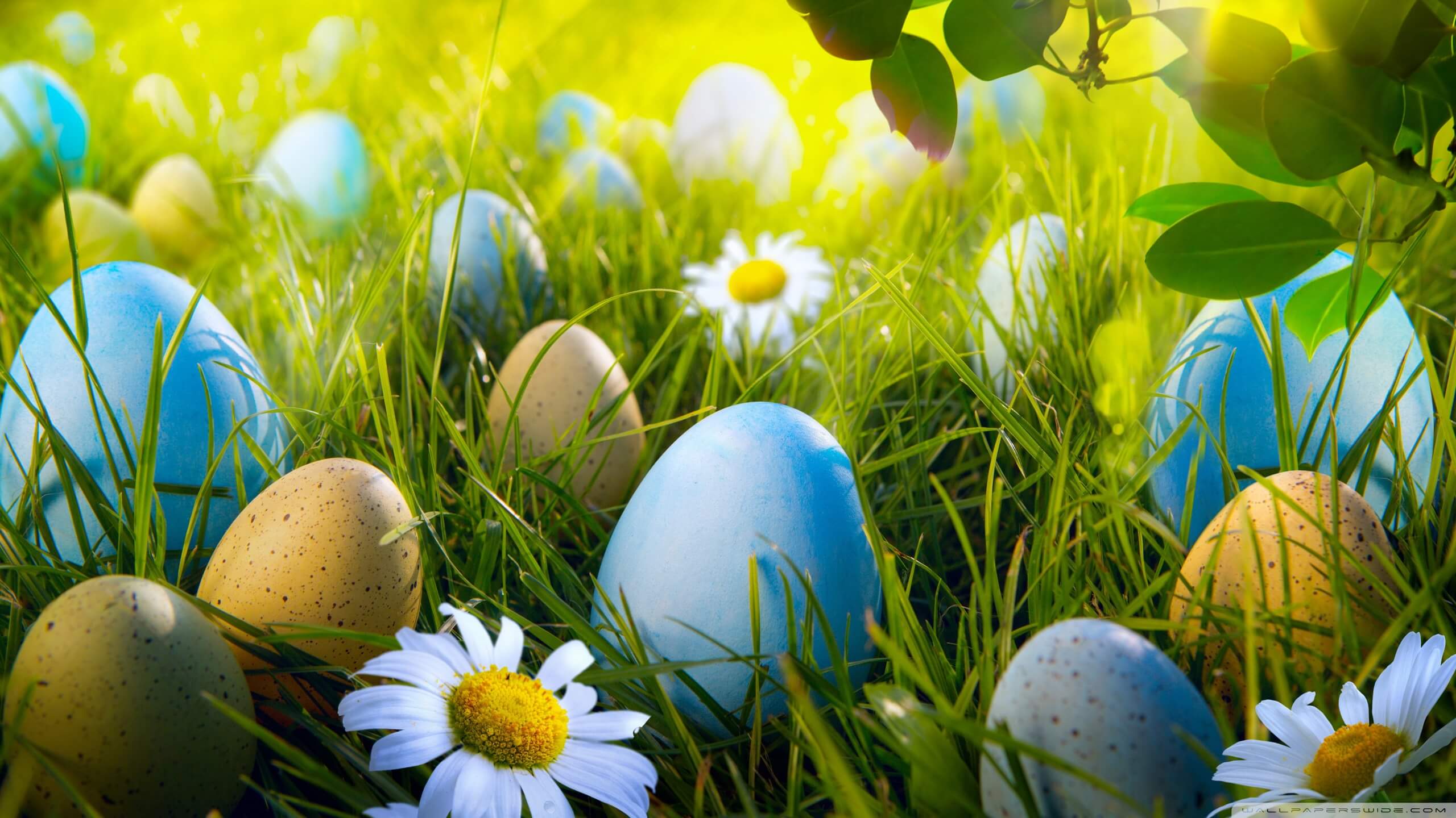 Easter Backgrounds collection download free  PixelsTalk Net