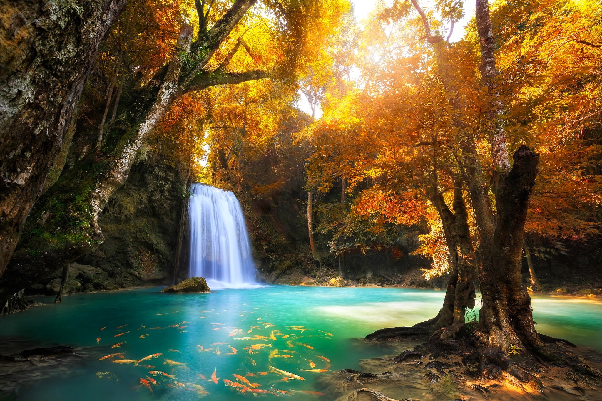 природа водопад осень деревья без смс