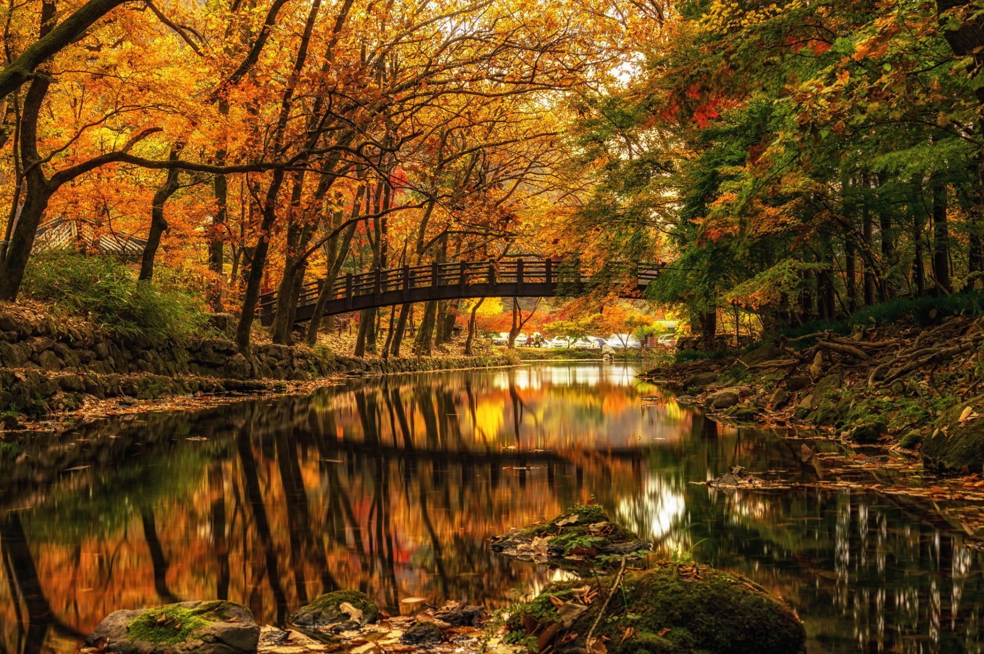 речка мост деревья осень бесплатно