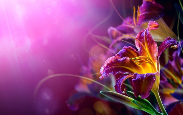 Abstract Flower Backgrounds.