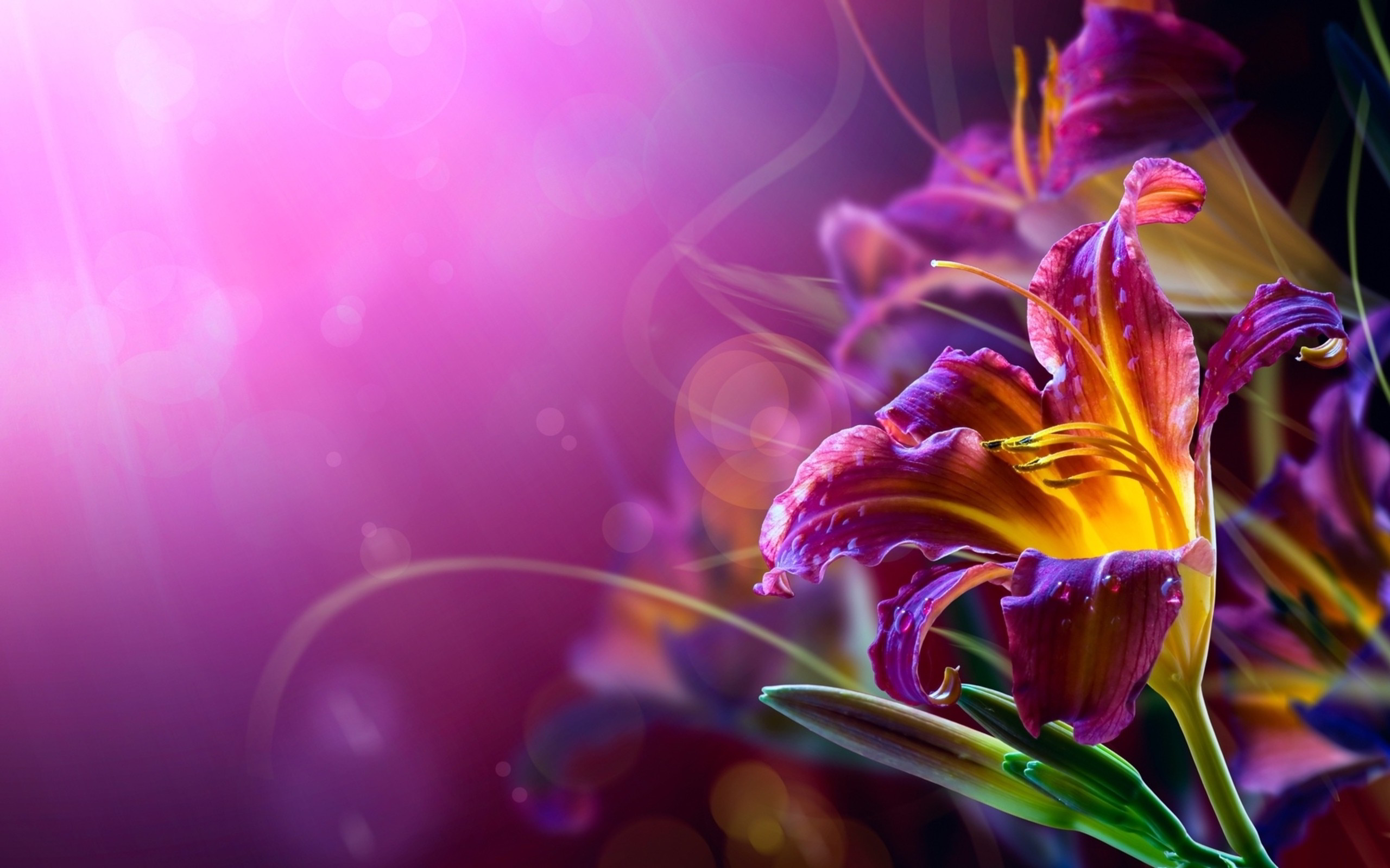 Abstract flower art wallpapers design | ImgStocks.com