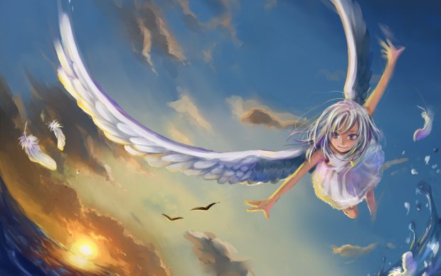 Angel anime birds girl wings hd wallpaper.