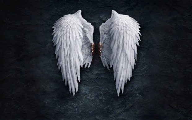 Anime Angel wings Image.