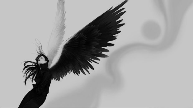 Anime Angel wings Wallpaper Black and White.