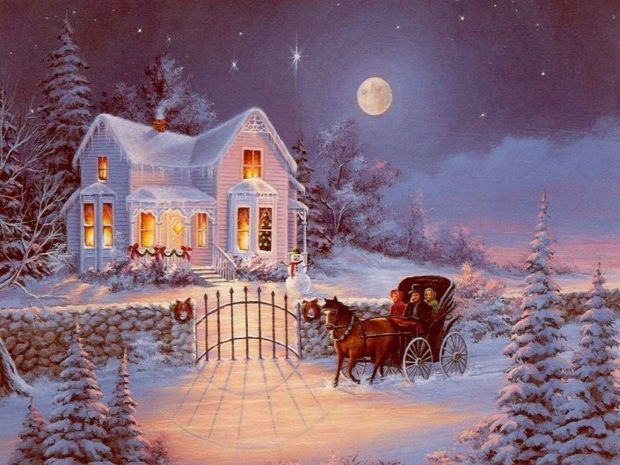 Beautiful Winter Night Background.