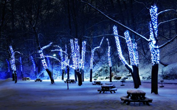 Beautiful Winter Night Desktop Wallpaper.