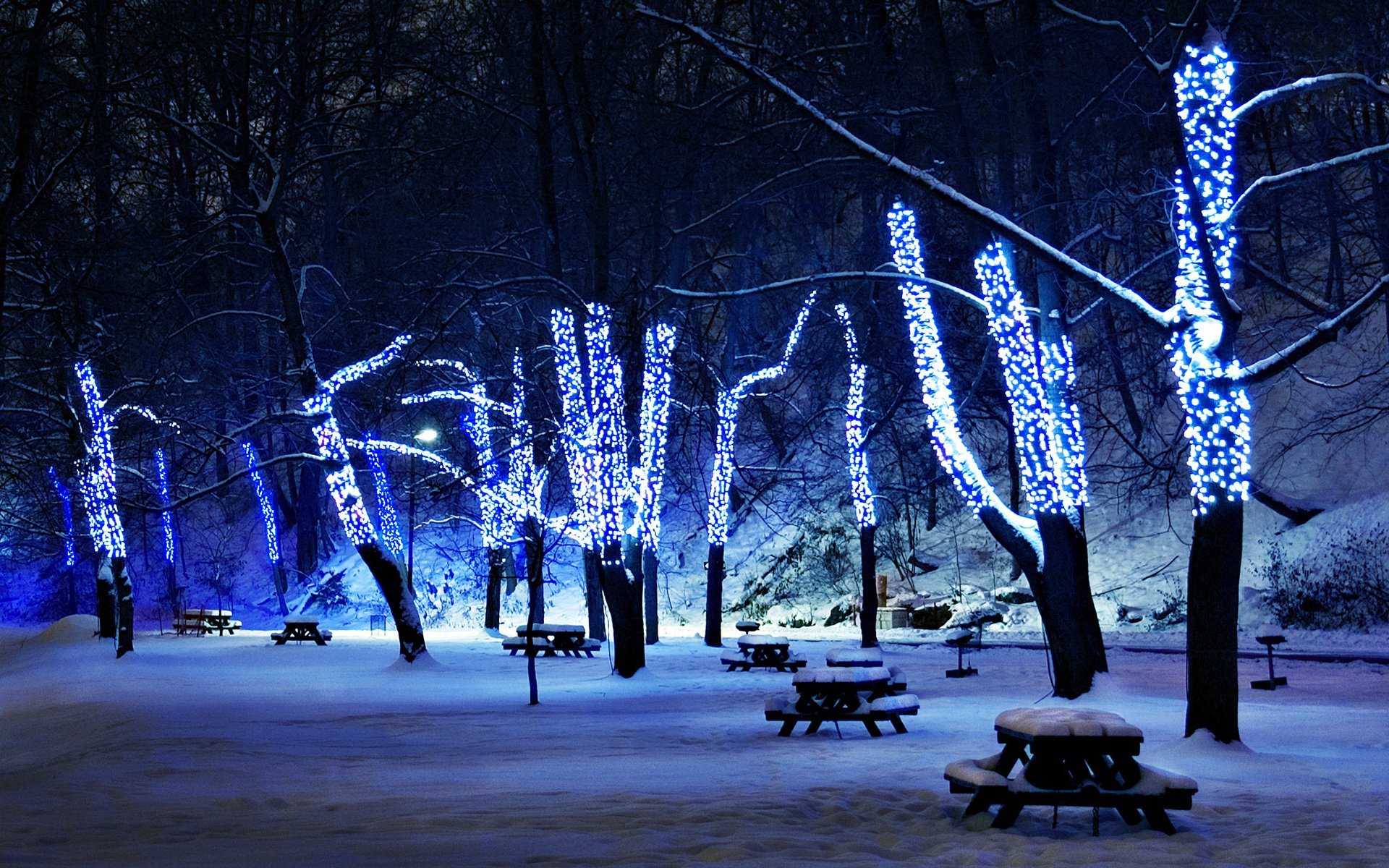 40 Gambar Wallpaper for Pc Snow terbaru 2020 40 Gambar Wallpaper for Pc Snow terbaru 2020