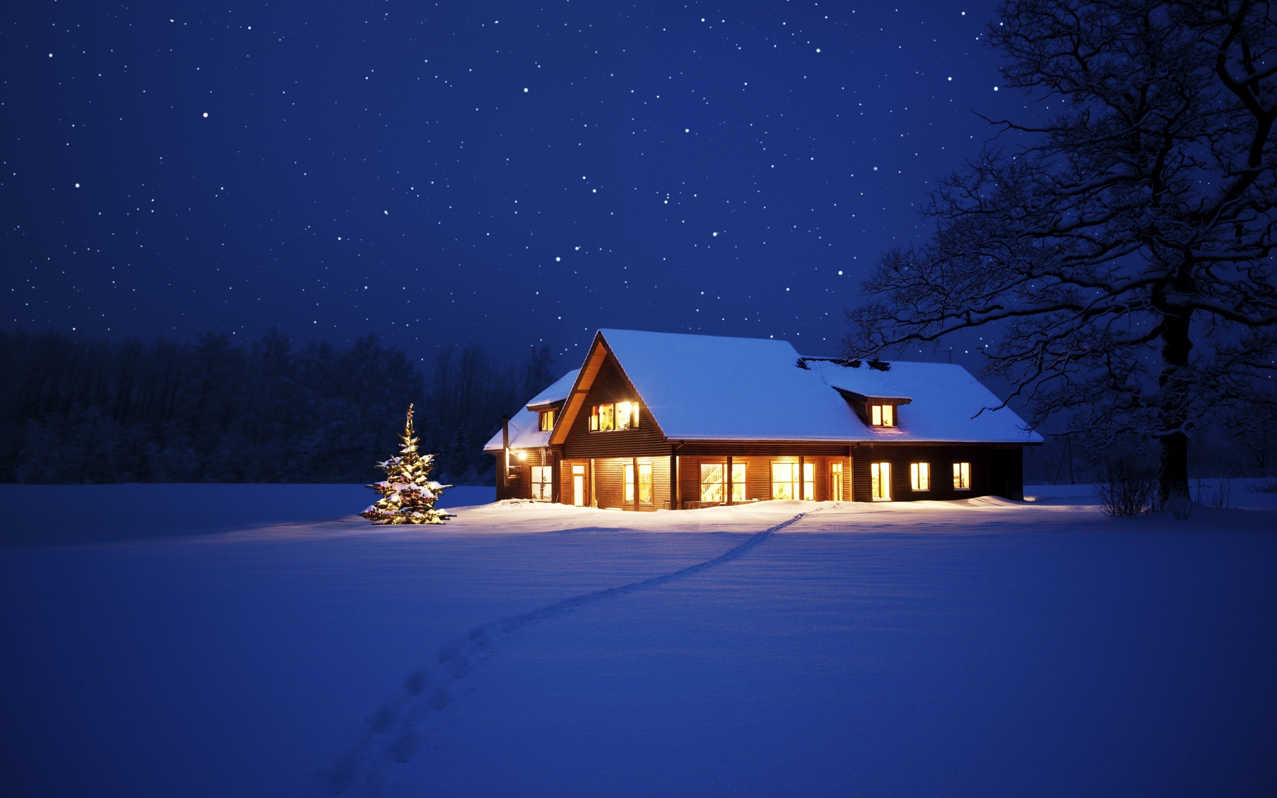 Magic Winter night snow HD wallpaper  Peakpx