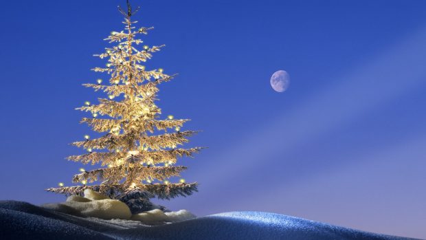 Download Free Beautiful Winter Night Wallpaper.