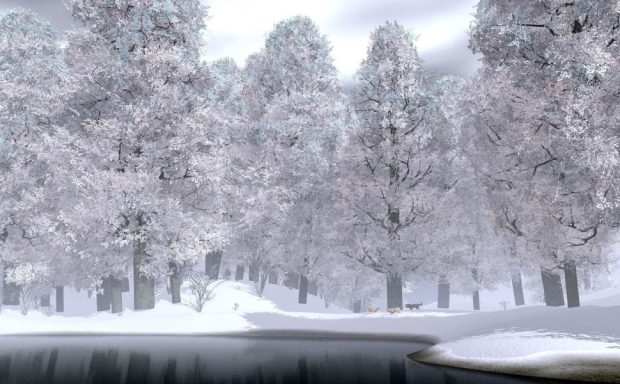 Download Free Winter and Snow Wallpaper.