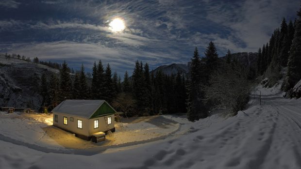 HD Winter Night In Moonlight Wallpaper.