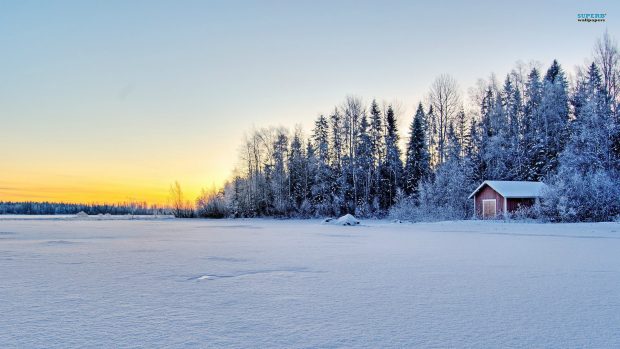 Snow Background