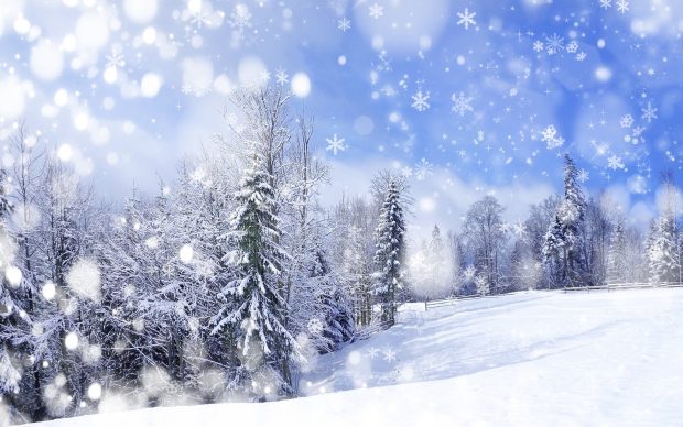 Snow wallpapers HD free download