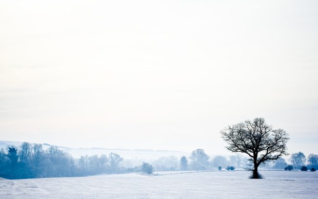 Snow winter landscape wallpaper widescreen