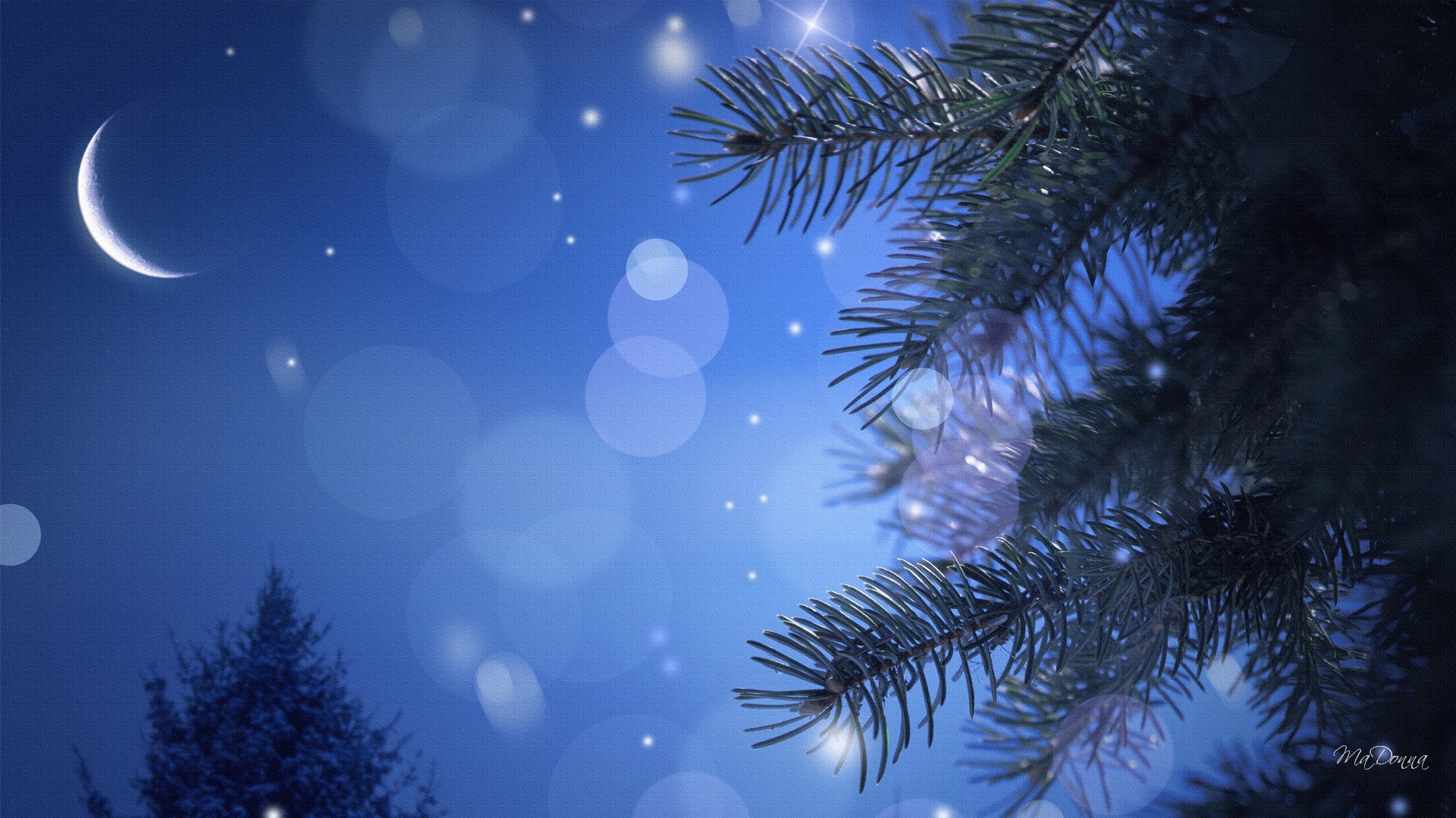 Beautiful Winter Night Wallpaper Pixelstalknet