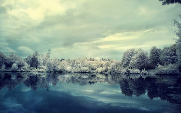 Winter Landscape Snow Background