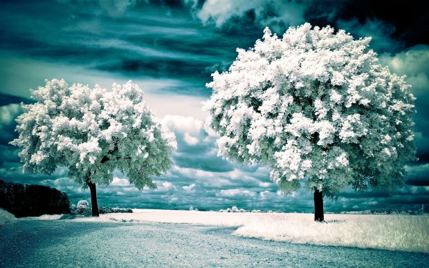 Winter Landscape Wallpaper Background