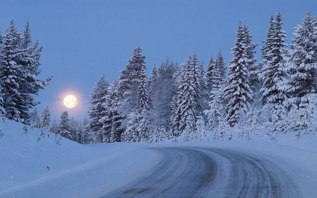 Winter Night In Moonlight Background.