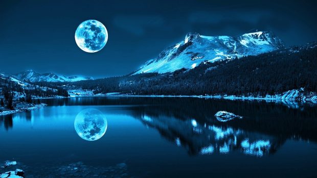 Winter Night In Moonlight HD Wallpaper.