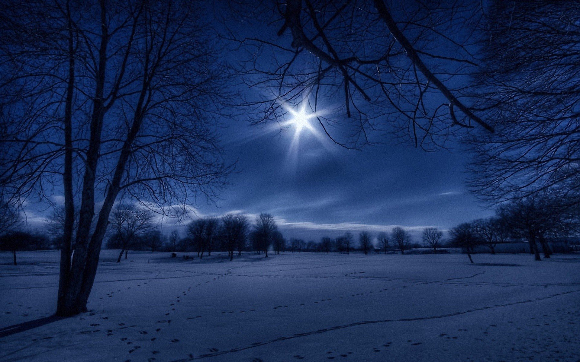 Beautiful Winter Night Wallpaper Pixelstalknet