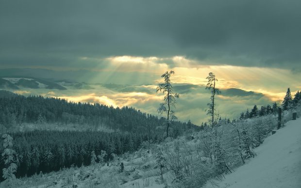 Winter and Snow HD Wallpaper.