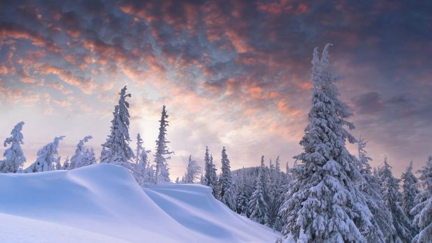 Winter and Snow Wallpaper Free Download.
