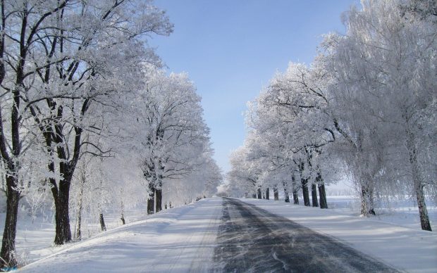 Winter snow background wallpaper retina hd download